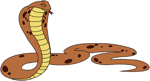 reptile-cobra-snake-animal-species-6849431