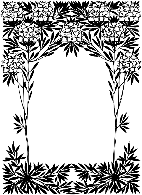 frame-art-nouveau-decorative-border-6344312