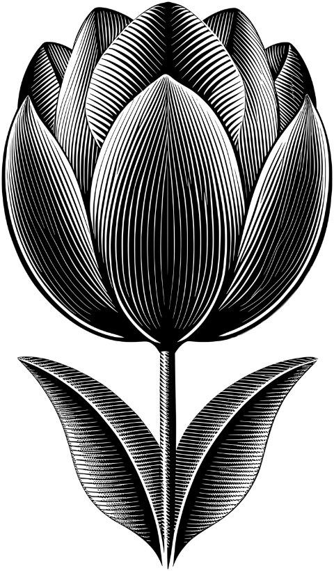 ai-generated-tulip-flower-plant-9604579