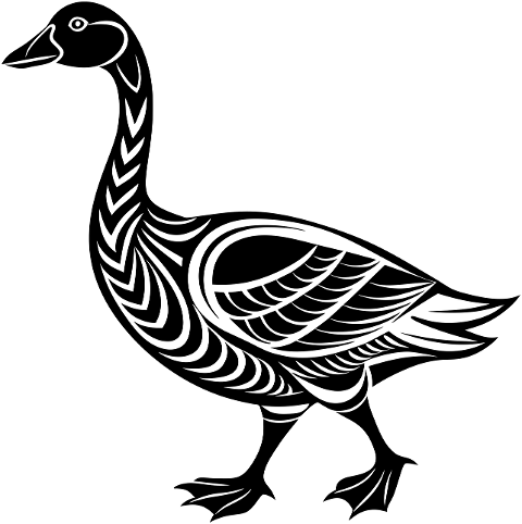 goose-bird-animal-ornithology-8799274