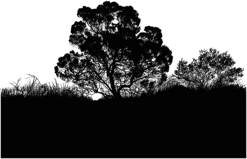 trees-grass-silhouette-wilderness-8016090