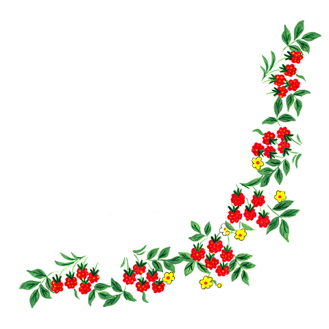 raspberries-raspberry-forest-6276863