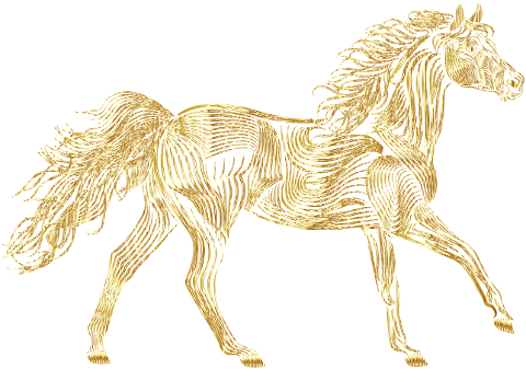 horse-equine-animal-line-art-8143841
