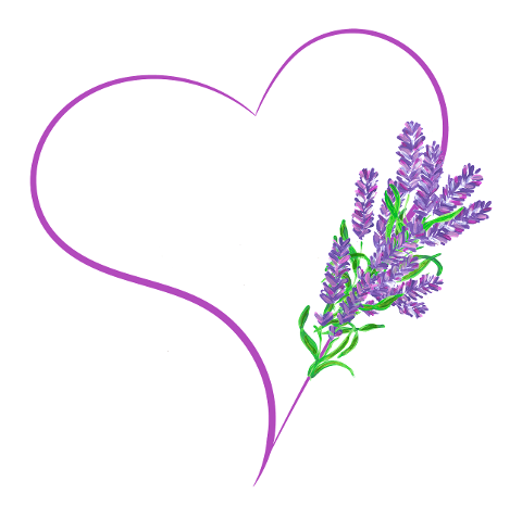 heart-love-lavender-lavender-heart-7679028