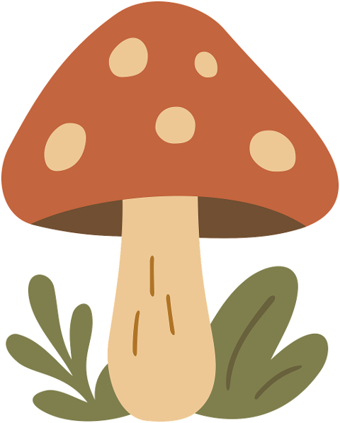 nature-autumn-forest-mushroom-9720394