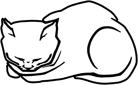 cat-feline-animal-julie-de-graag-7485627