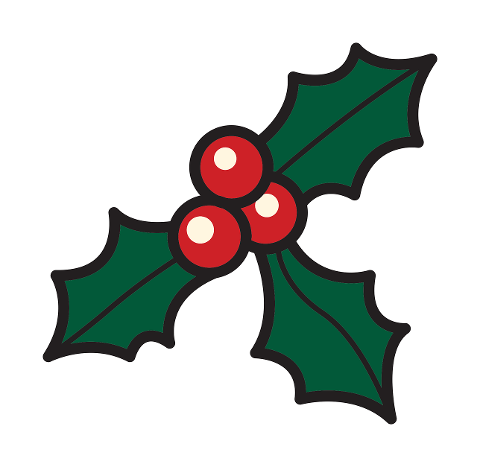 holly-christmas-berries-festive-9471128