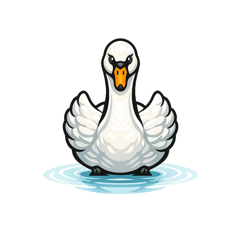 swan-bird-water-bird-orange-beak-10355012