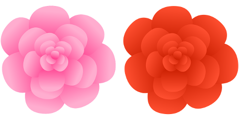 flowers-rose-design-decorative-7179332