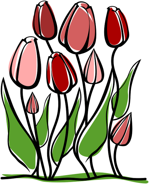 tulips-flowers-plant-botanical-8792496
