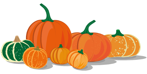 pumpkins-squash-icon-pumpkin-icon-5570855