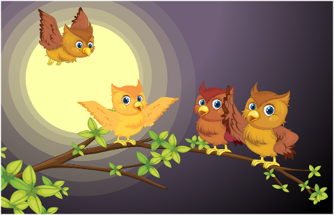 birds-owls-ornithology-species-7236891