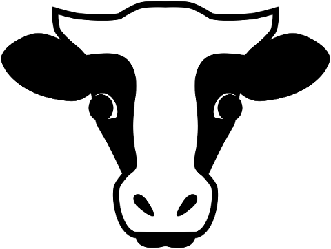 cows-head-cow-beef-head-animal-9727357