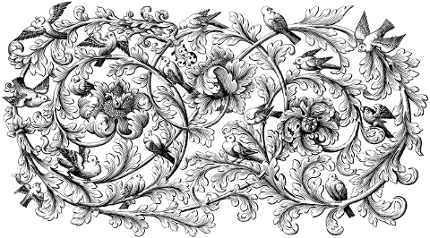 flourish-birds-floral-line-art-7305511
