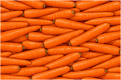 carrots-carrot-pattern-10138681