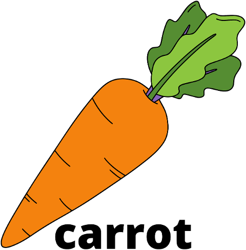 cartoon-carrot-vegetable-clip-art-7409982