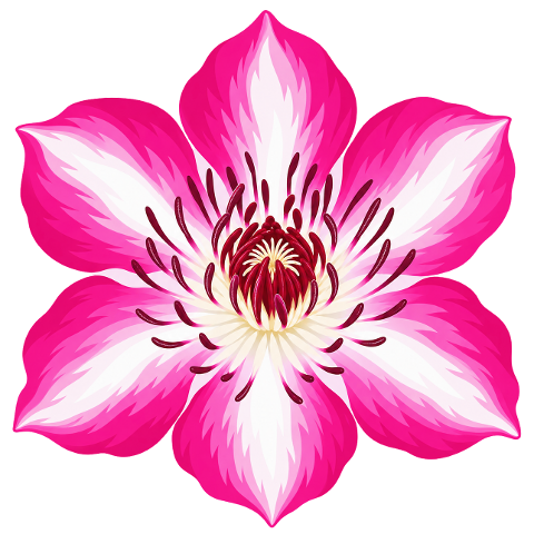 pink-flower-white-flower-10480268