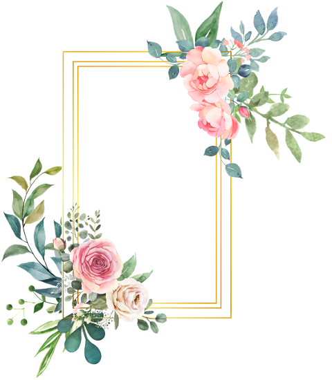 frame-border-rose-flower-decorate-6566765
