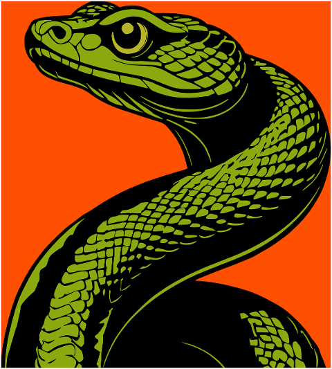 snake-reptile-animal-nature-green-9877131