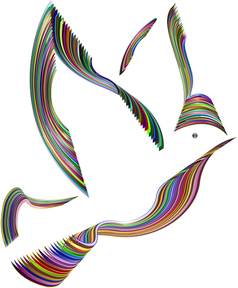bird-dove-peace-harmony-diversity-7110120