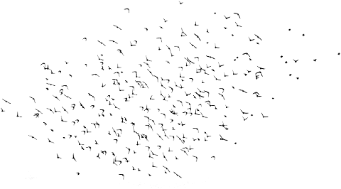 birds-flock-silhouette-animals-7100067