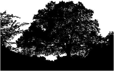 tree-landscape-silhouette-nature-7469353