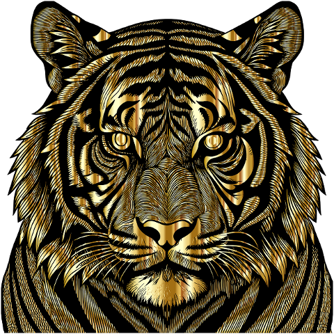 tiger-animal-feline-big-cat-head-8707318