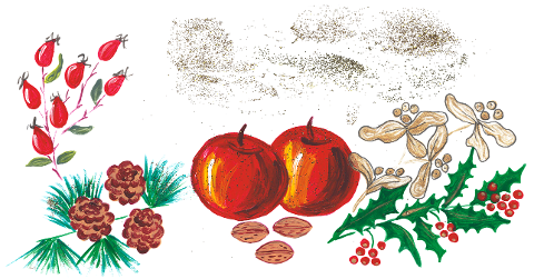 apples-holly-rosehips-walnuts-7677951