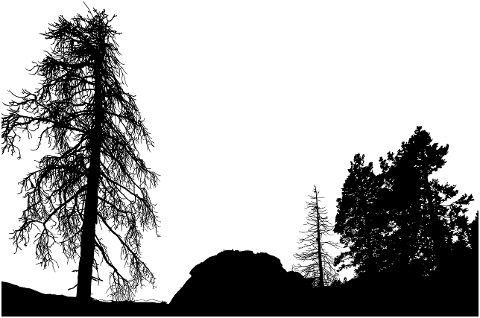 trees-landscape-silhouette-nature-7210397