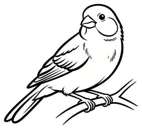 songbird-outline-bird-perched-9929427
