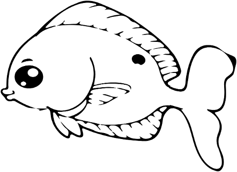 fish-line-art-fish-drawing-drawing-7117184