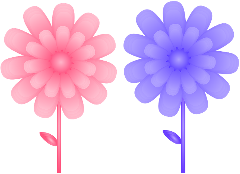 flowers-botany-pink-flower-7272986