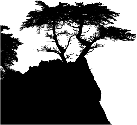 sea-cliff-trees-landscape-7617058