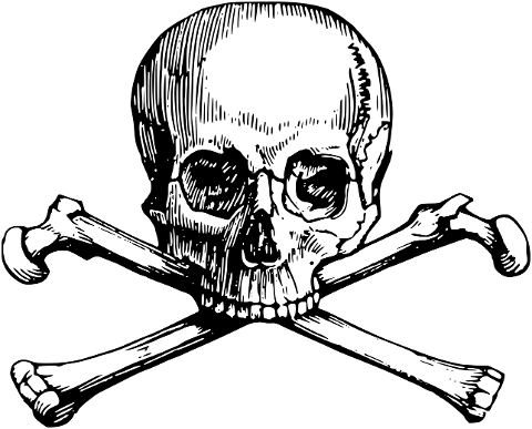 skull-crossbones-line-art-death-7443688