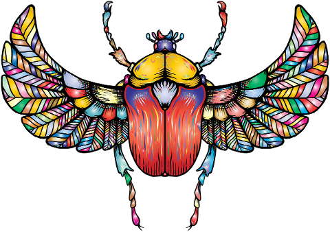 beetle-insect-animal-bug-wings-7175187