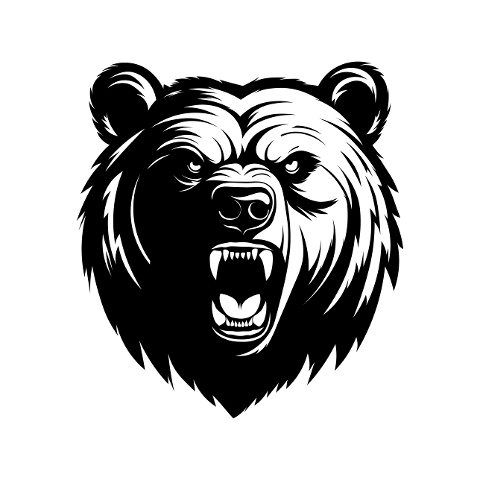 bear-predator-animal-head-wild-8616386