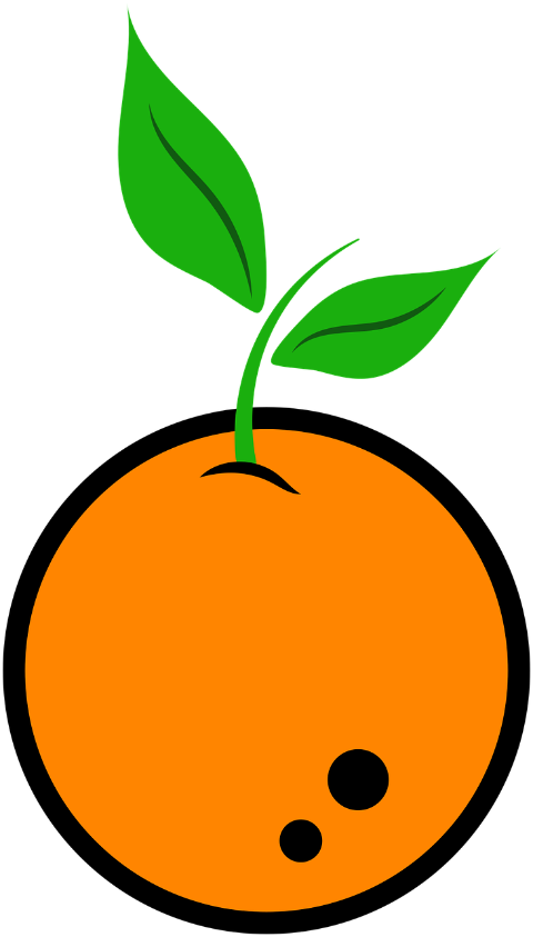 orange-nature-fruit-circle-trees-7278694