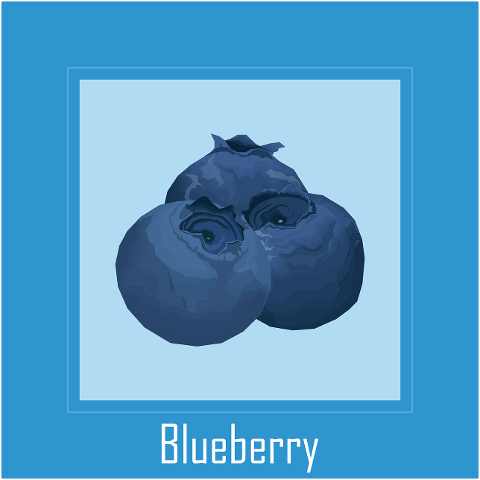 blueberry-fruit-blue-tropical-7372629