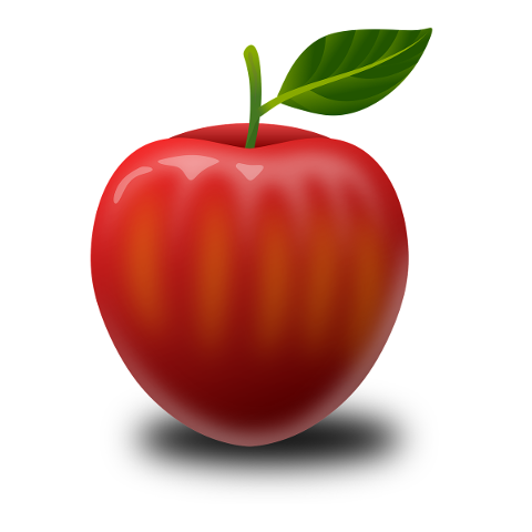 apple-fruit-illustration-red-green-4876971