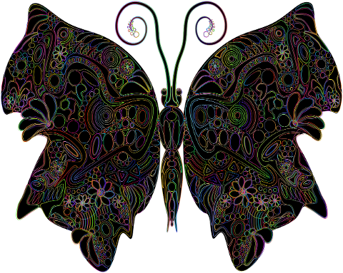 butterfly-insect-design-decoration-8534861