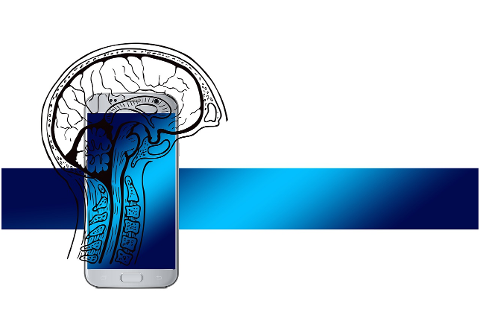 smartphone-brain-digital-think-4338936