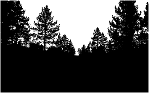 forest-trees-silhouette-woods-5733383