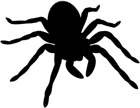 spider-black-widow-icon-silhouette-6489794