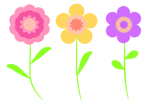 flowers-spring-decoration-petals-6289585