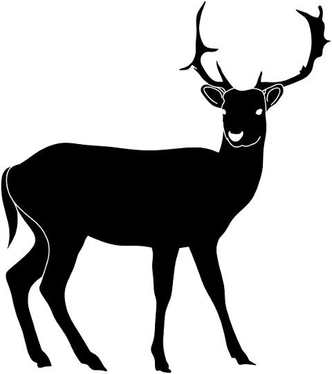 deer-silhouette-roe-deer-antlers-7668475