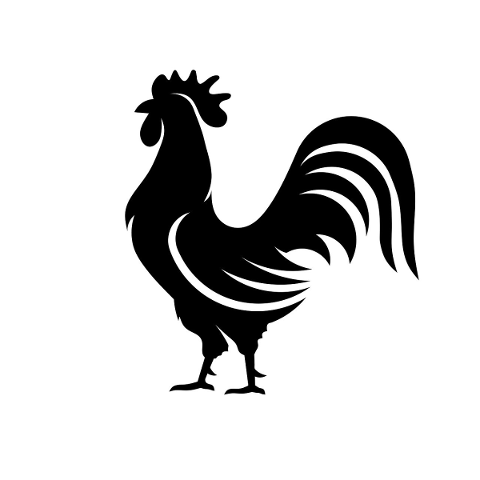 rooster-cock-chicken-silhouette-5551912