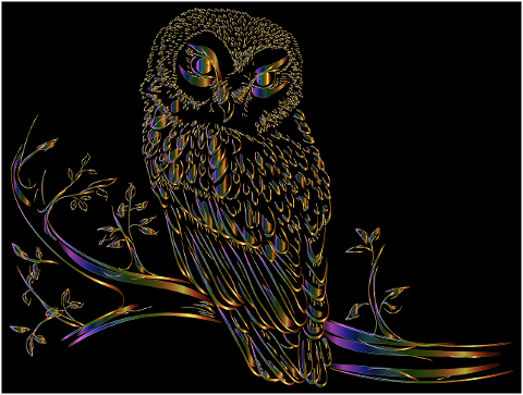 owl-bird-line-art-animal-gold-4369905