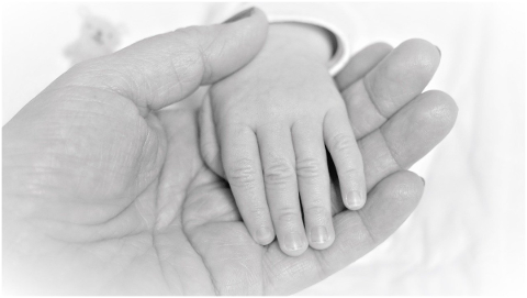 hands-infant-baby-newborn-tiny-4803176