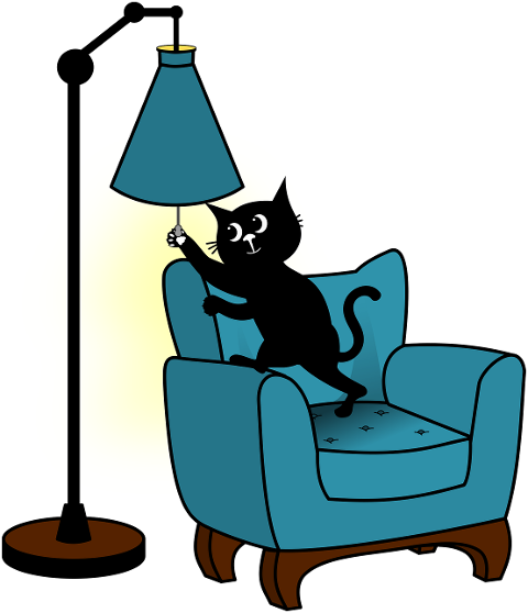 cat-kitten-black-cats-pet-animal-9606699