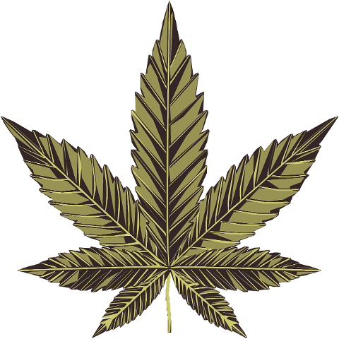 cannabis-marijuana-hemp-medical-6476495
